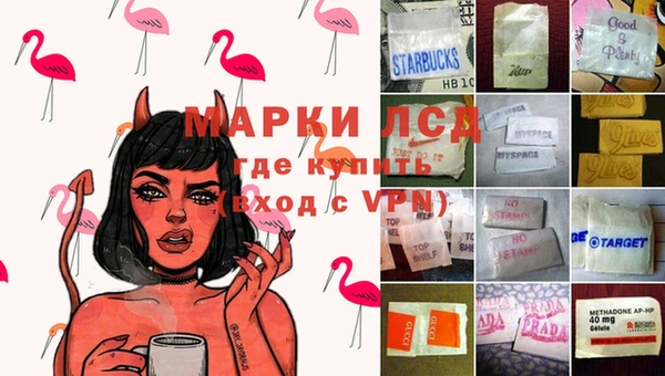 спайс Алзамай