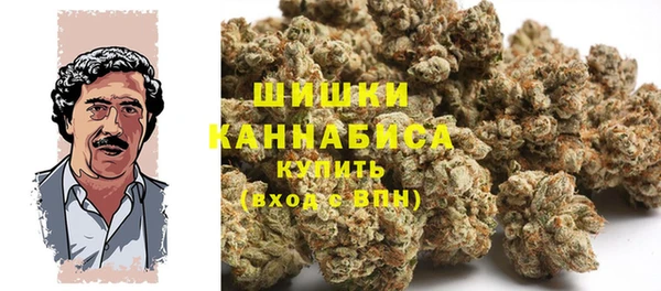 спайс Алзамай