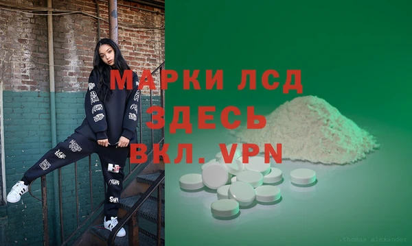 спайс Алзамай