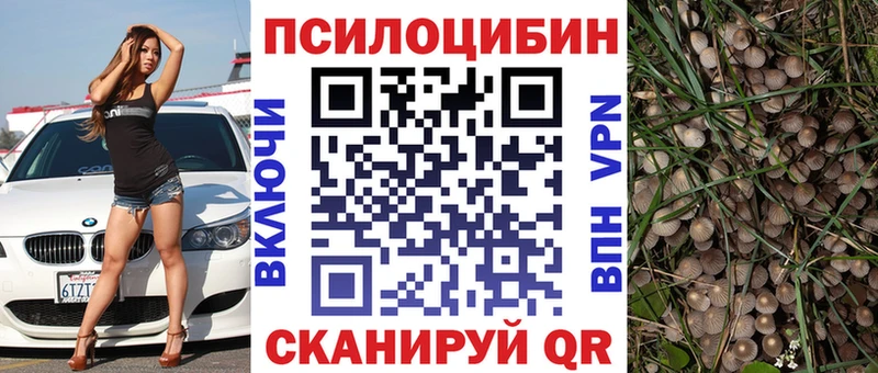Псилоцибиновые грибы GOLDEN TEACHER  гидра маркетплейс  нарко площадка как зайти  Гвардейск 
